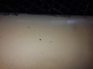 Liebherr HEBEZYLINDER